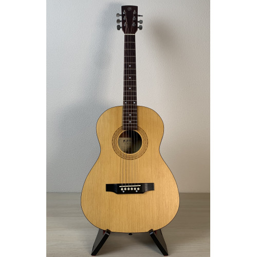 Парма FT-01 Гитара. Парма FT-01 Гитара.